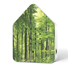 Zwitscherbox Forest (Wald)